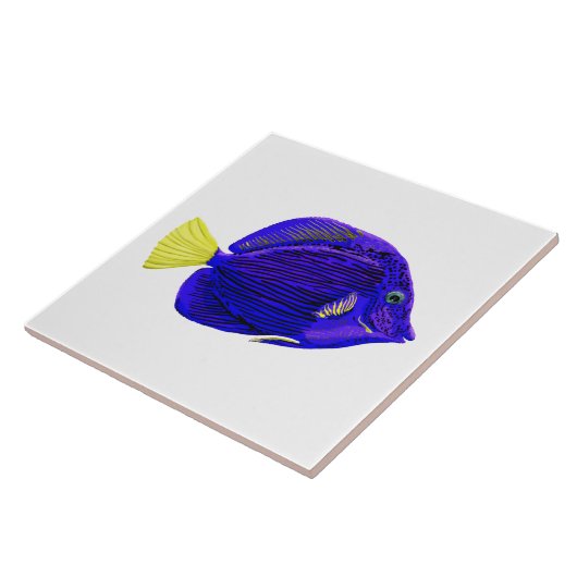 Blauwe tang vis tegeltje (Zijkant)