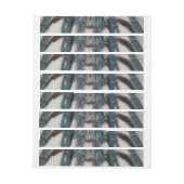 blauwe tarantula adreslabel wikkel (Vel)