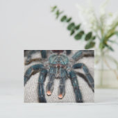 blauwe tarantula briefkaart (Staand voorkant)