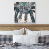 blauwe tarantula canvas afdruk (Insitu (Slaapkamer))