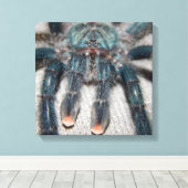 blauwe tarantula canvas afdruk (Insitu (Houten vloer))