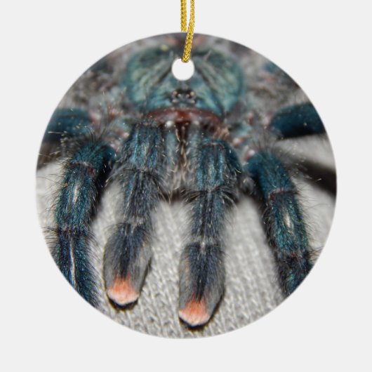 blauwe tarantula keramisch ornament (Voorkant)