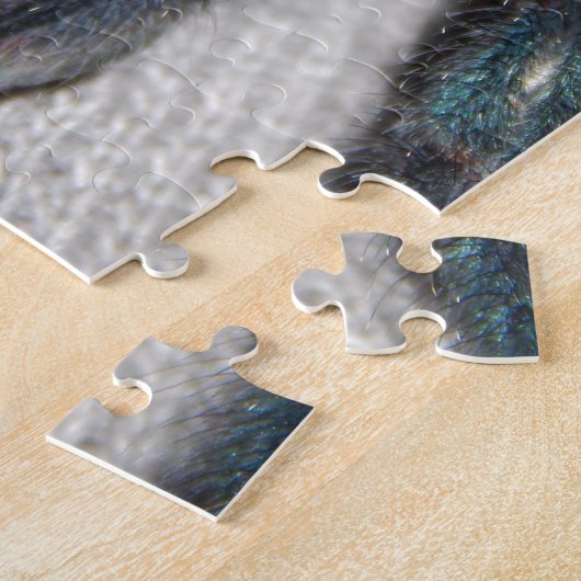 blauwe tarantula legpuzzel (Zijkant)