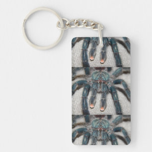 blauwe tarantula sleutelhanger