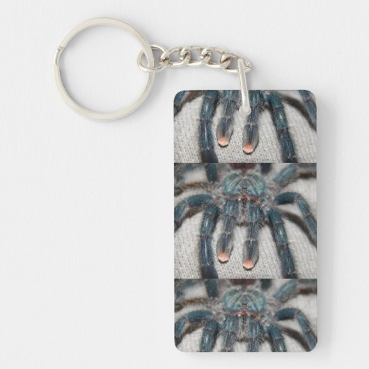 blauwe tarantula sleutelhanger (Voorkant)