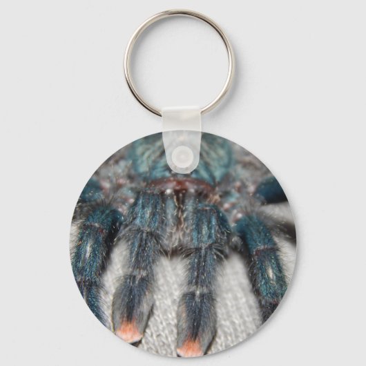 blauwe tarantula sleutelhanger (Voorkant)