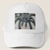 blauwe tarantula trucker pet (Voorkant)