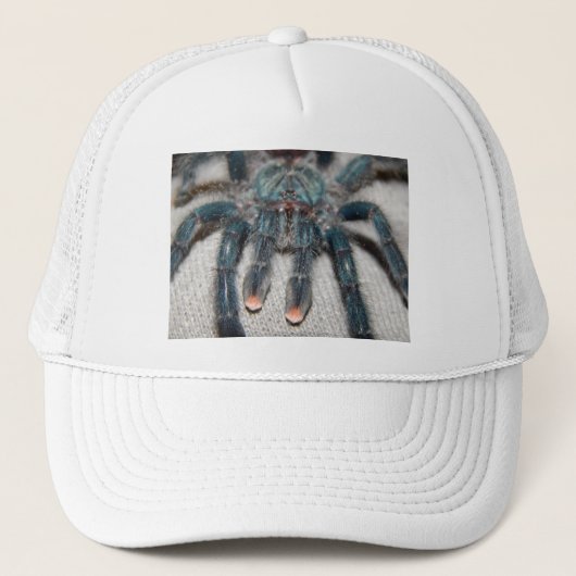blauwe tarantula trucker pet (Voorkant)