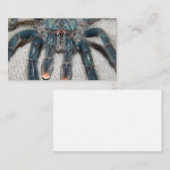 blauwe tarantula visitekaartje (Voorkant / Achterkant)
