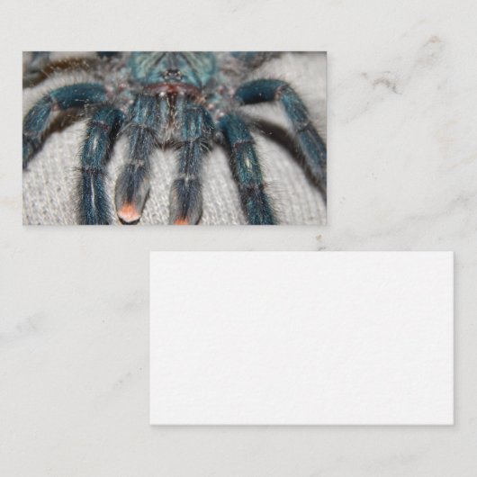 blauwe tarantula visitekaartje (Voorkant / Achterkant)
