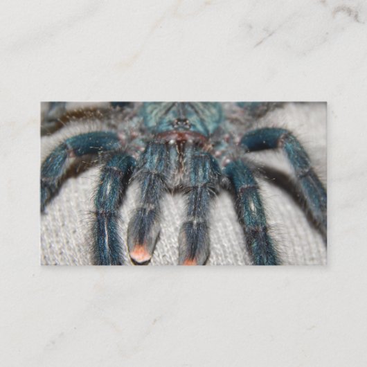blauwe tarantula visitekaartje (Voorkant)