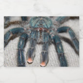 blauwe tarantula voedselcontainer etiket (Enkel label)