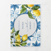 Blauwe Tegel | Middellandse-Zeegebied | Lemon Wedd Drieluik Programma (Cover)