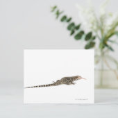Blauwe tegu - Tupinambis merianae Briefkaart (Staand voorkant)