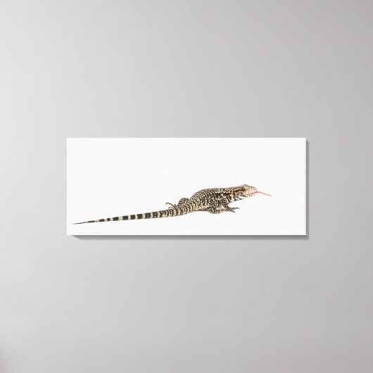 Blauwe tegu - Tupinambis merianae Canvas Afdruk (Voorkant)