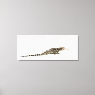 Blauwe tegu - Tupinambis merianae Canvas Afdruk