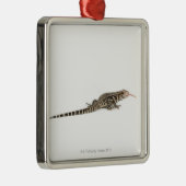 Blauwe tegu - Tupinambis merianae Metalen Ornament (Rechts)