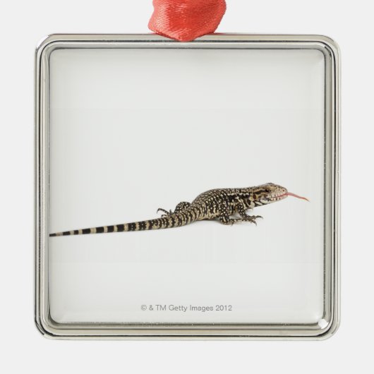 Blauwe tegu - Tupinambis merianae Metalen Ornament (Voorkant)