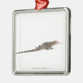Blauwe tegu - Tupinambis merianae Metalen Ornament (Links)