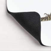 Blauwe tegu - Tupinambis merianae Muismat (Hoek)