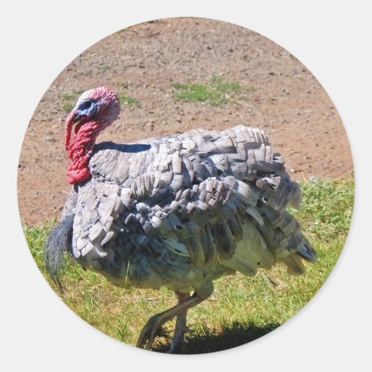 Blauwe Thanksgiving Dag Turkije Ronde Sticker (Voorkant)
