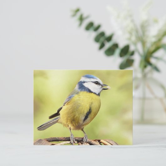 Blauwe tiervogel briefkaart (Staand voorkant)