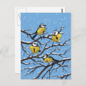 Blauwe tietvogels in de winter briefkaart (Voorkant / Achterkant)