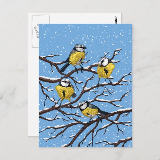 Blauwe tietvogels in de winter briefkaart (Voorkant / Achterkant)