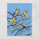 Blauwe tietvogels in de winter briefkaart (Voorkant)