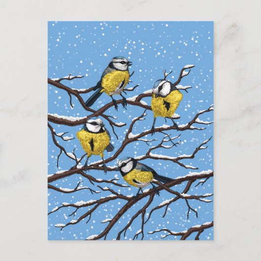 Blauwe tietvogels in de winter briefkaart (Voorkant)