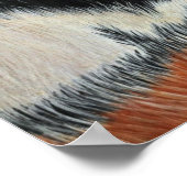 Blauwe tijger poster (Hoek)