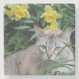 Blauwe Tip Siamese en narcissen Stenen Onderzetter