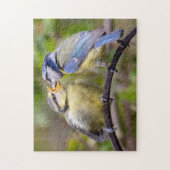 Blauwe tit met vingerbeweging puzzel (Verticaal)