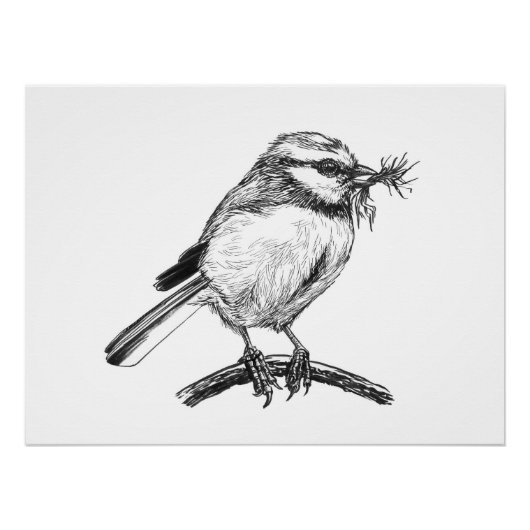 Blauwe tit vogel inkt tekening perfect poster (Voorkant)