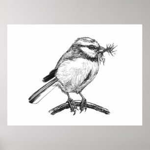 Blauwe tit vogel inkt tekening poster