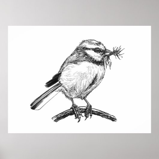 Blauwe tit vogel inkt tekening poster (Voorkant)