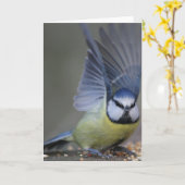 Blauwe tit vogel mooie vleugels kaart (Gele Bloem)
