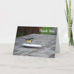 Blauwe Tit Vogel Voeding Bedankkaart