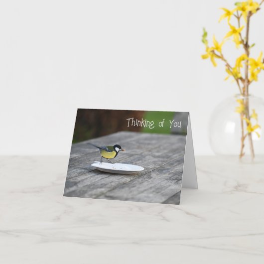 Blauwe Tit Vogel Voeding Denken Van U Kaart (Gele Bloem)