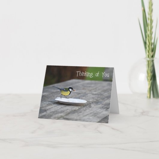 Blauwe Tit Vogel Voeding Denken Van U Kaart (Voorkant)