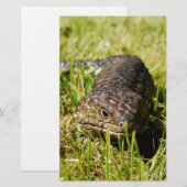 Blauwe tonghagedis in de gras, briefpapier (Voorkant / Achterkant)