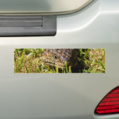 Blauwe tonghagedis in de gras, bumpersticker (Op auto)