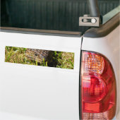 Blauwe tonghagedis in de gras, bumpersticker (Op Truck)