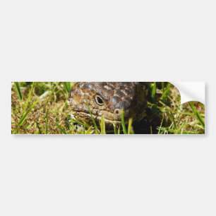 Blauwe tonghagedis in de gras, bumpersticker