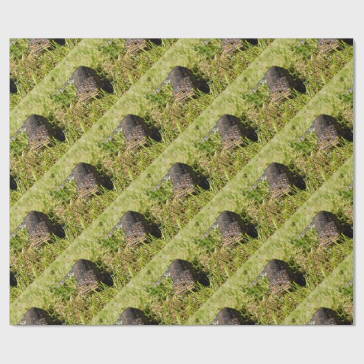 Blauwe tonghagedis in de gras, cadeaupapier (Vlak)