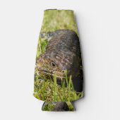 Blauwe tonghagedis in de gras, flesjeskoeler (Voorkant)