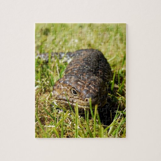 Blauwe tonghagedis in de gras, legpuzzel (Verticaal)