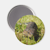 Blauwe tonghagedis in de gras, magneet (Voorkant / Achterkant)