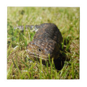 Blauwe tonghagedis in de gras, tegeltje (Voorkant)