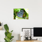 Blauwe transparante vlinder, Costa Rica Poster (Thuiskantoor)